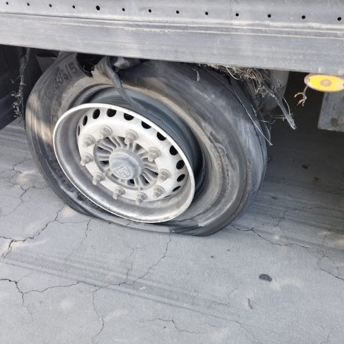 WhatsApp Image 2024-12-11 at 21.19.18 (5)